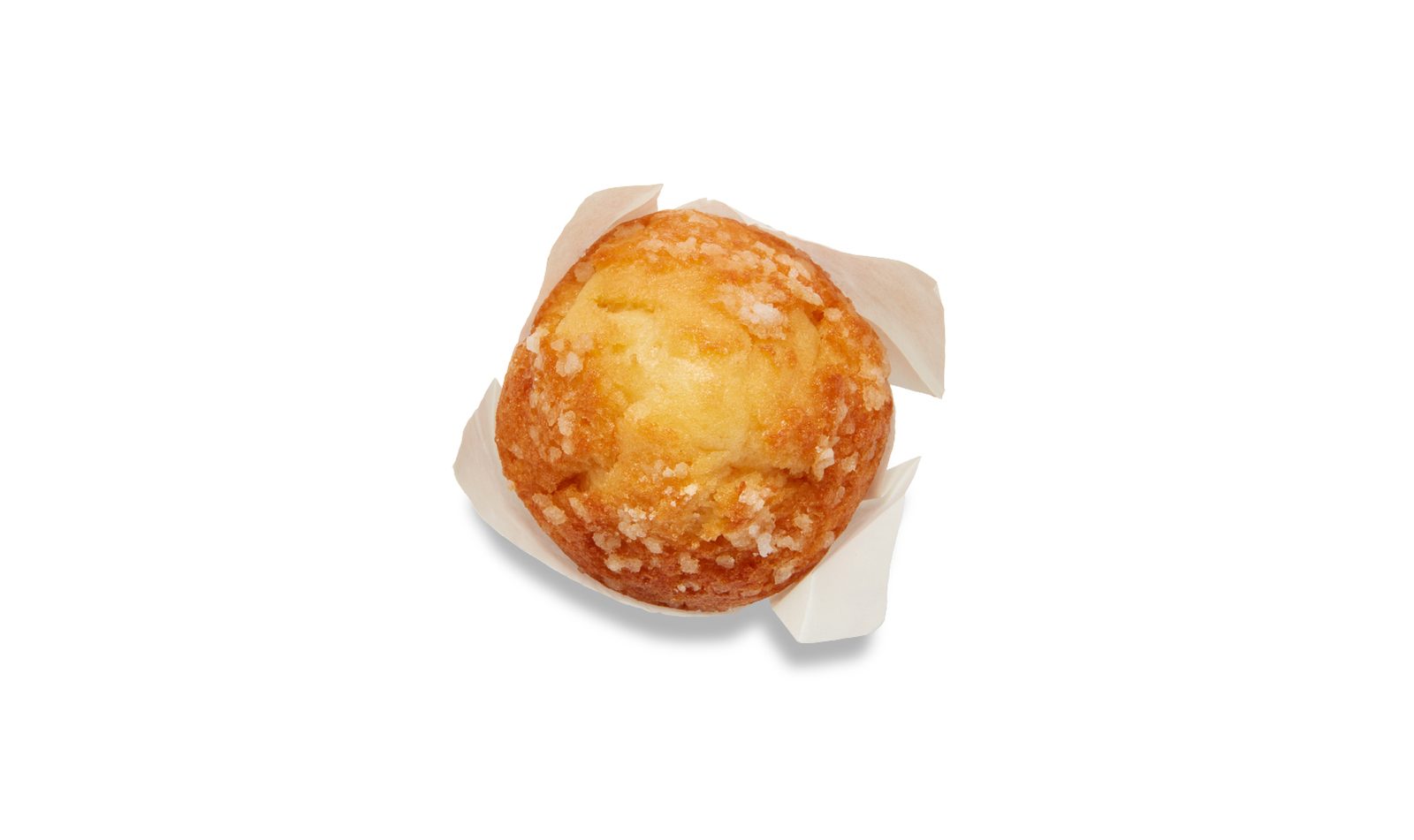 Muffin Magdalena Plus