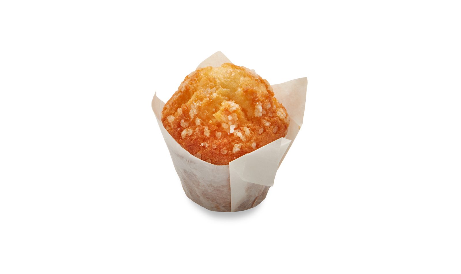Muffin Magdalena Plus