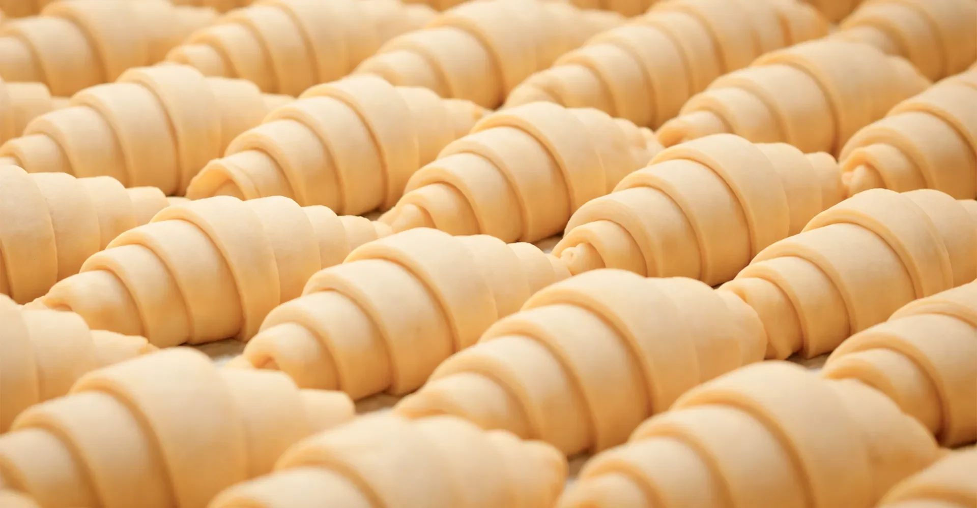 Meyer Frozen Food
